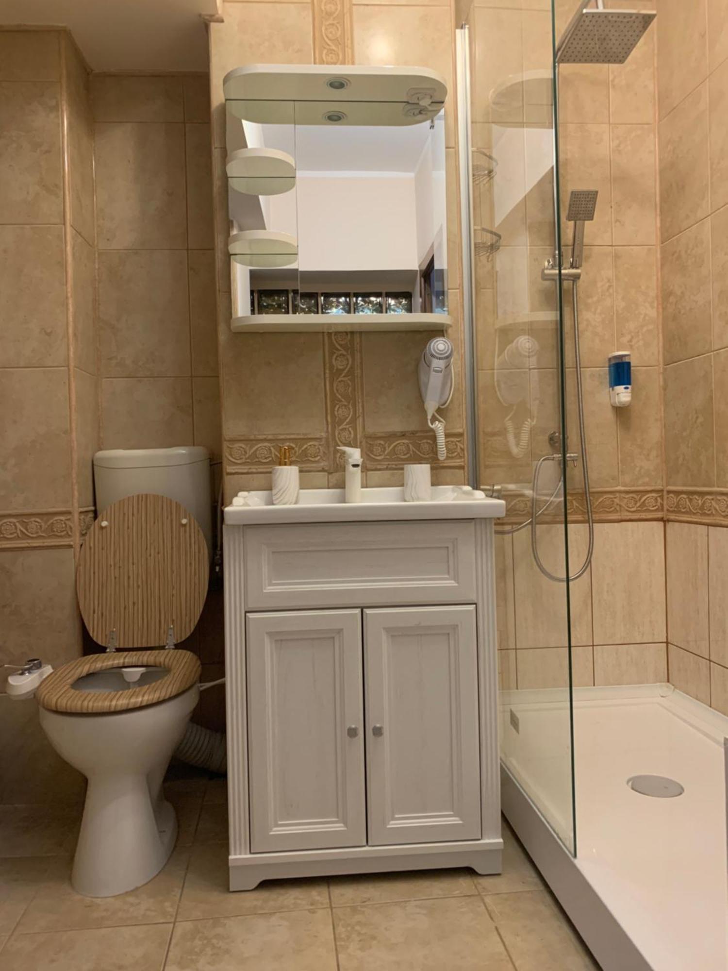 Апартаменты Minerva Ultracentral Крайова Экстерьер фото